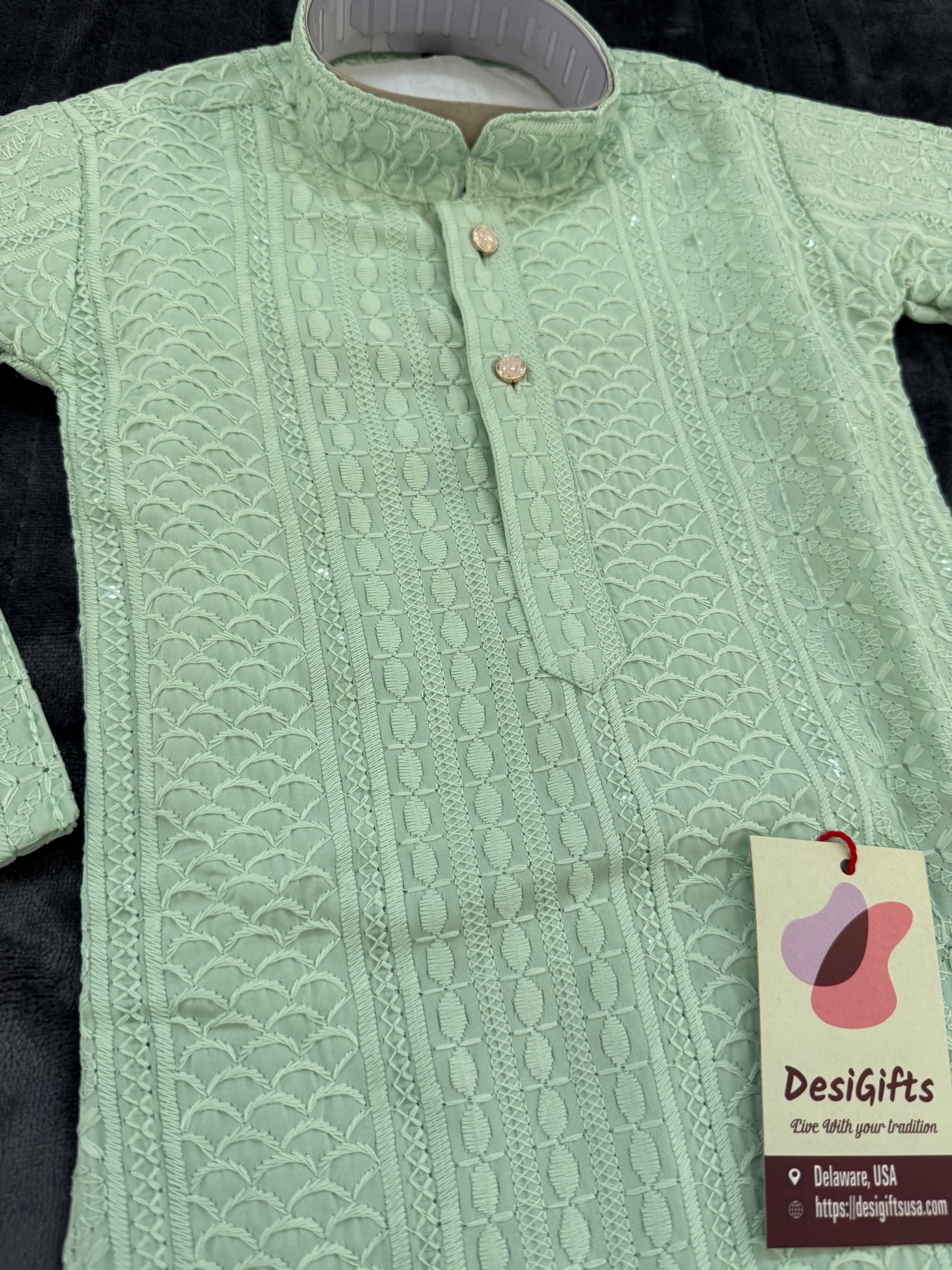 Pastel Green Shade Chikankari Rayon with Sequins 2 Piece Kurta Pajama Set, Father & Son's Outfit, DM -1806