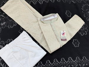 Pastel Green with Beige accents Jacquard Silk Kurta Pajama Set | Festive Kurta Pant Style Pajama, Man -3056