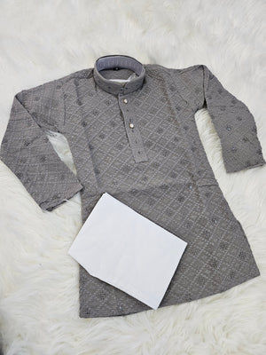 Gray Shade Chikankari Rayon with Sequins 2 Piece Kurta Pajama Set, Father & Son's Outfit, DM -1351