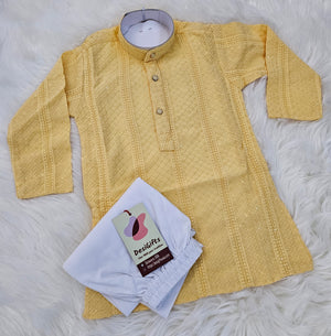 Pastel Yellow Shade Chikankari Rayon with Sequins 2 Piece Kurta Pajama Set, Father & Son's Outfit, DM -1354